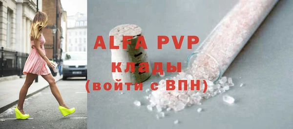 стаф Алзамай