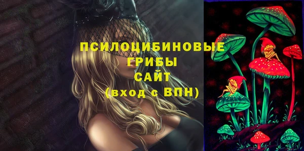 стаф Алзамай