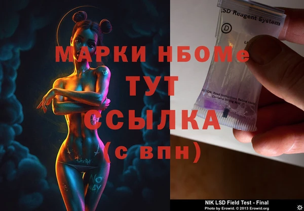 стаф Алзамай