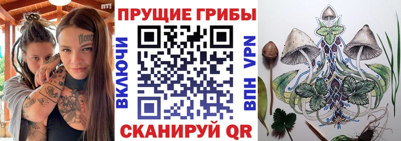 продажа наркотиков  Добрянка  Галлюциногенные грибы GOLDEN TEACHER 